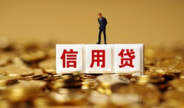 成都12哪有个人借贷-成都12小额贷款公司-成都12私借空放免费上门